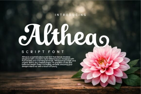 Althea: A Premium Script Font for Modern Web Design