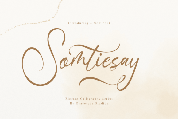Somtiesay: A Premium Script Font for Web Design