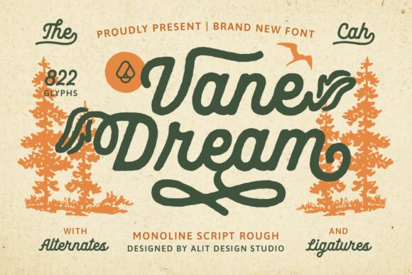 Vane Dream: A Premium Script Typeface for Web Design