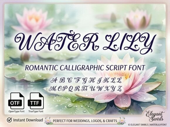 Water Lily: A Romantic Script Font for Editorial Design